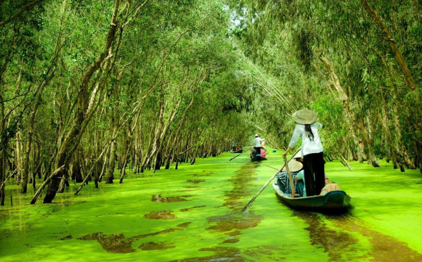 Begin your visa-prepared day with Vietnam’s tranquil ambiance